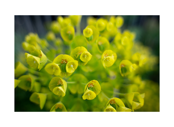 Tamron 20-40mm F/2.8 Di III VXD Lens - Sony E Mount